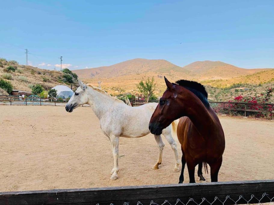 Casa Sierra, A Stunning Spanish Rural Retreat Villa