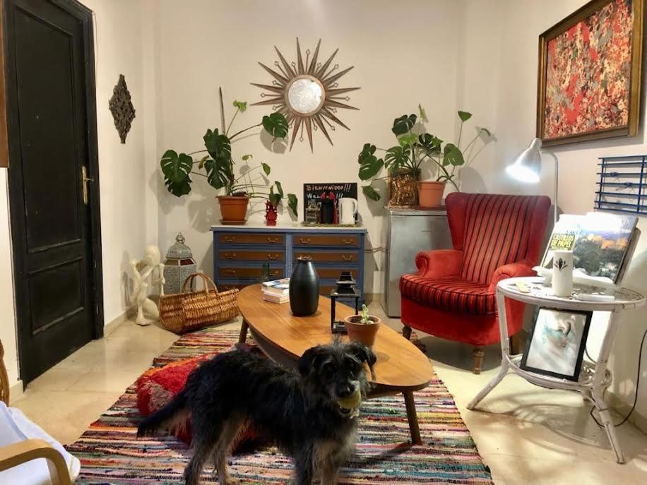 La Casa Del Sur Homestay Granada