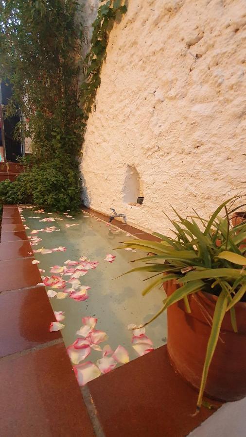 Casa Bambu *