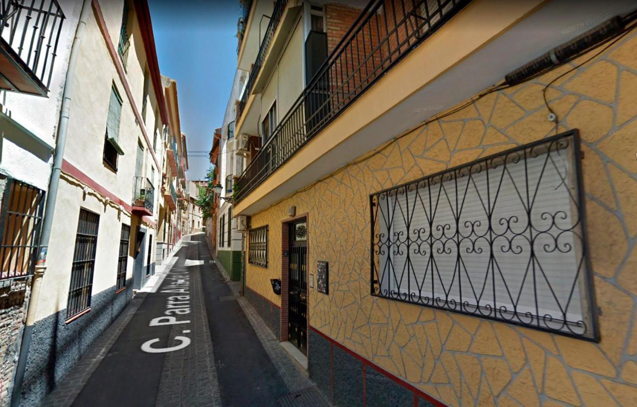 My Garden - Tree Of Life Granada