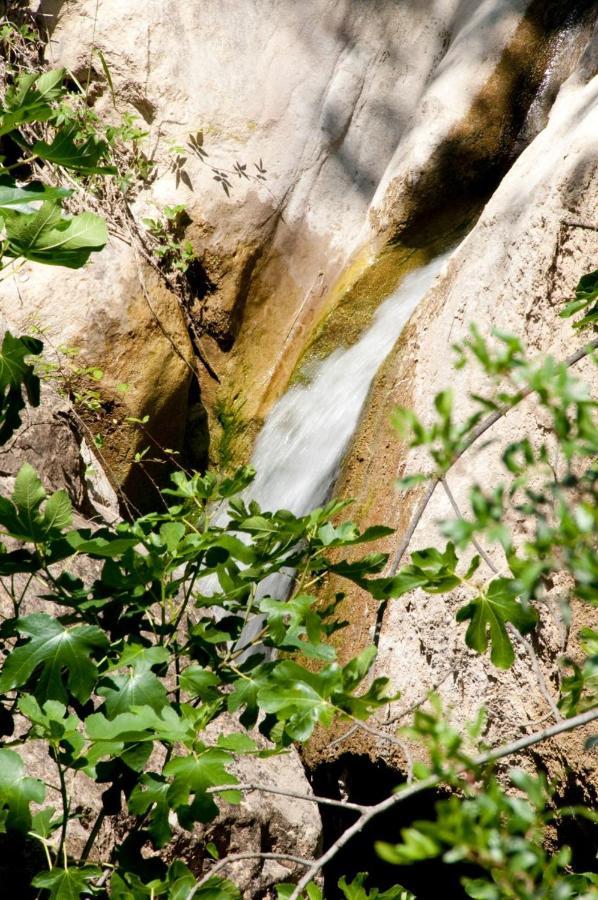 Molino La Ratonera Сasa de vacaciones