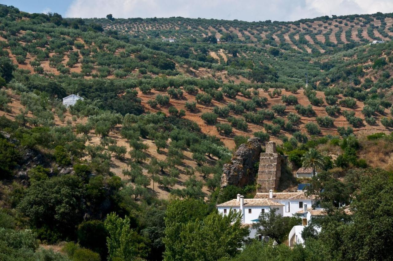 Molino La Ratonera Сasa de vacaciones