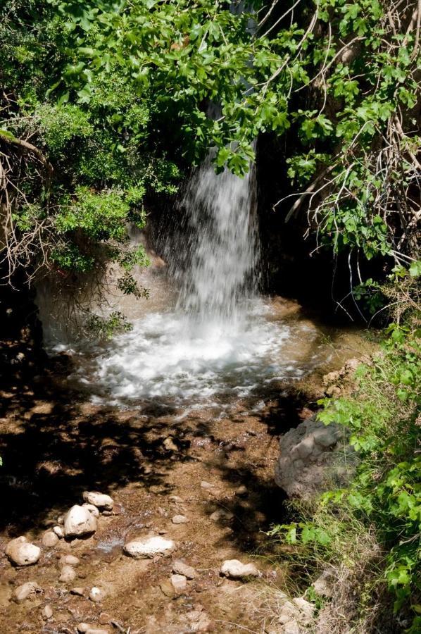 Molino La Ratonera Сasa de vacaciones Granada
