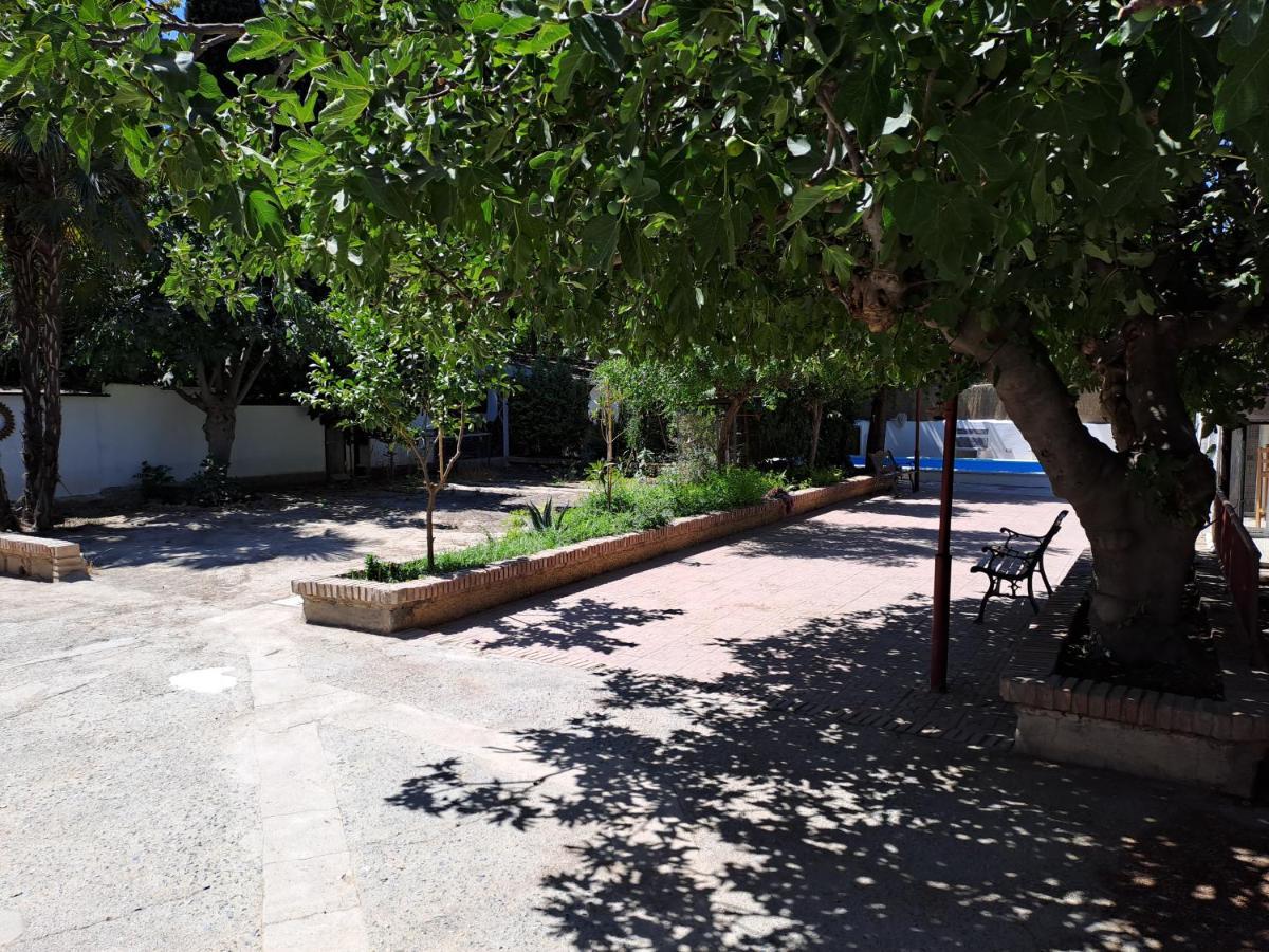 Urbano Y Natural