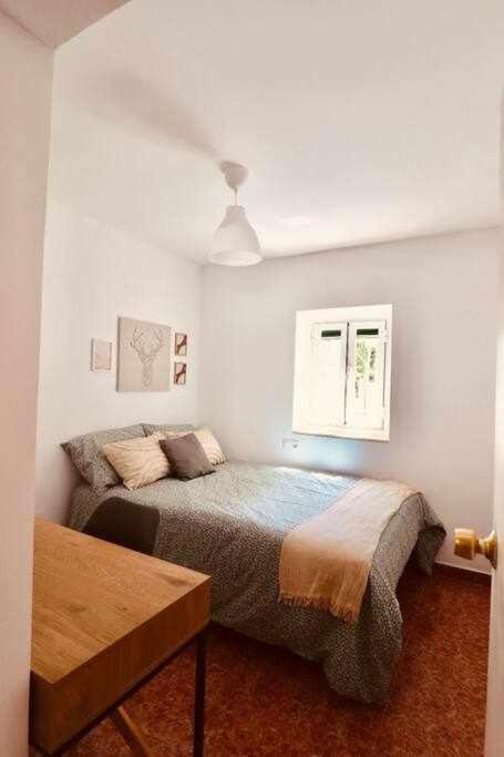Fantastico En Apartamento