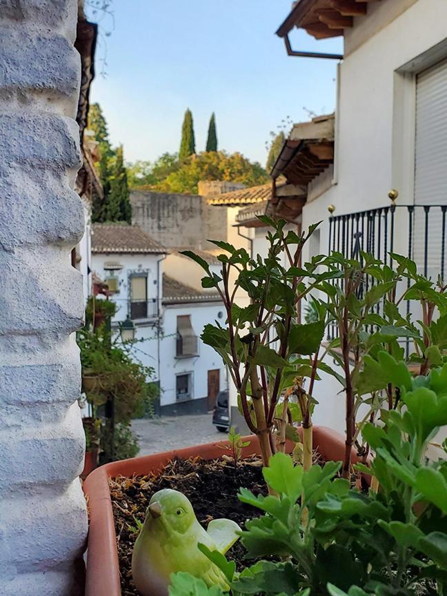 Baños Del Agua Сasa de vacaciones Granada