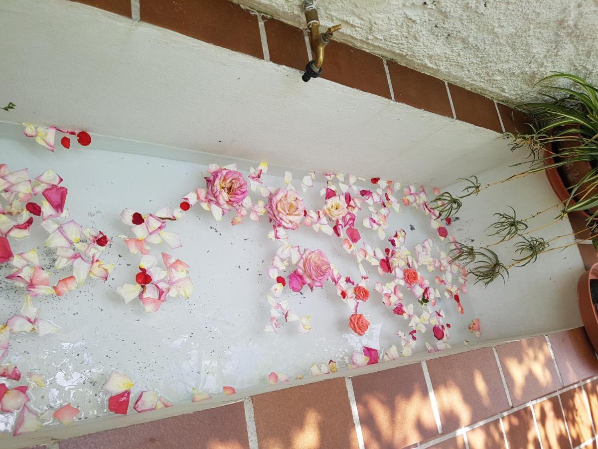 Casa Bambu