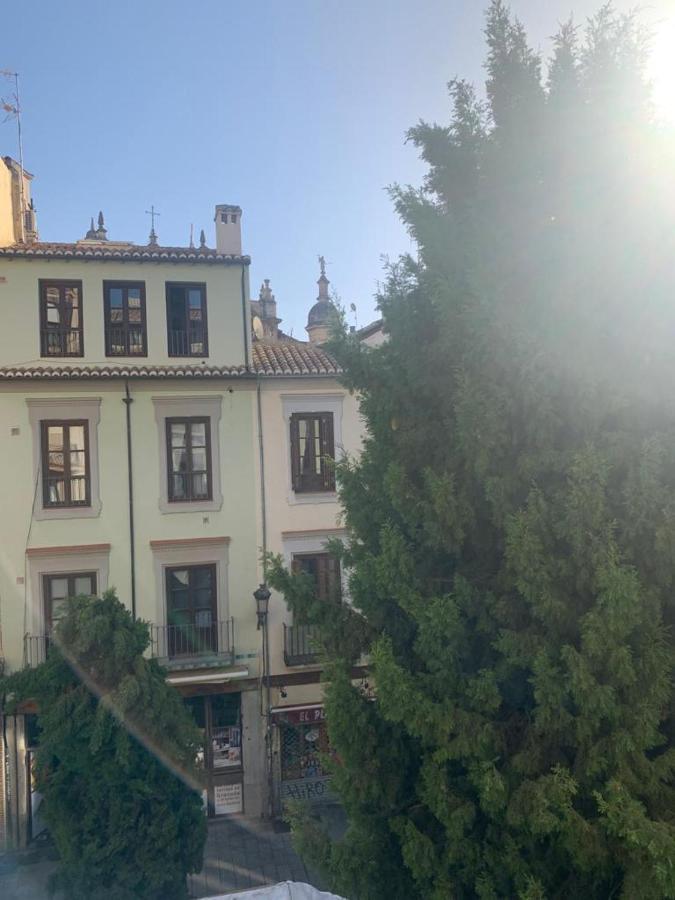 Apartamento Bajo El Palomar De La Catedral