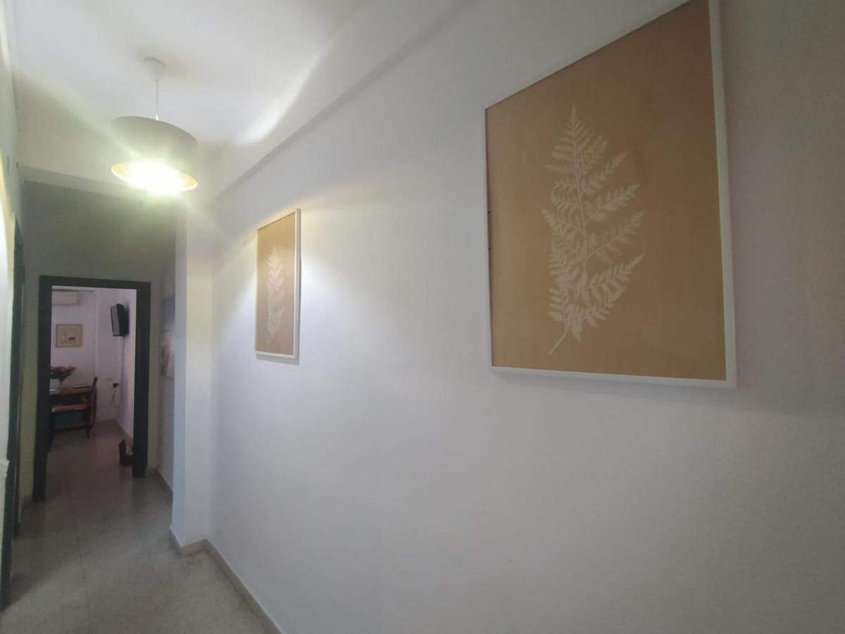 Céntrico Piso Con Aparcamiento