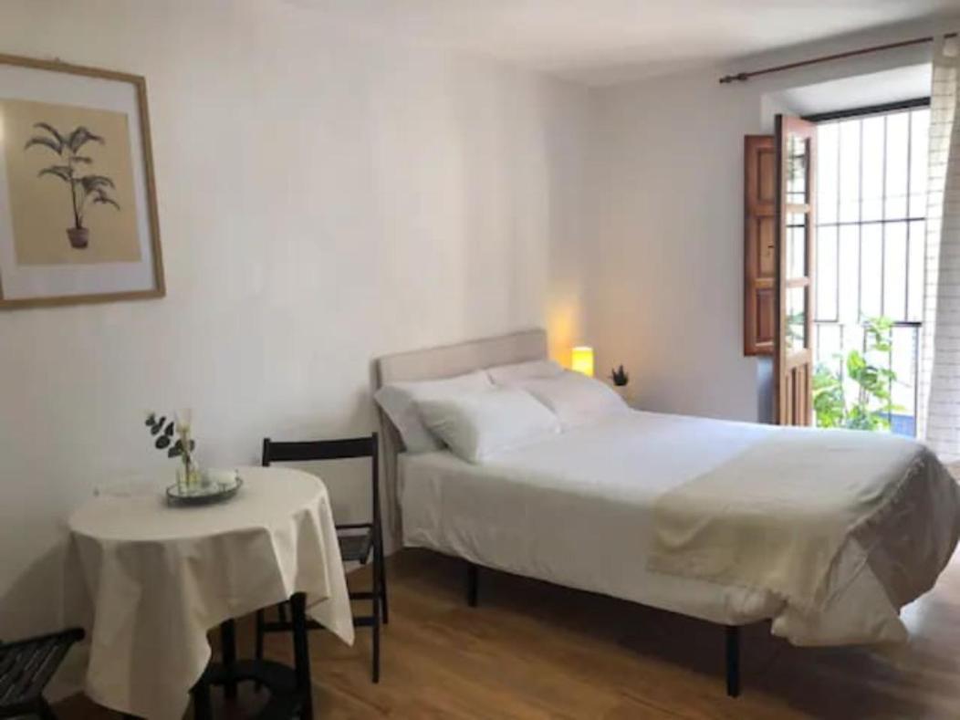 Completo Reformado En Arco De Elvira - Centro Apartamento Granada