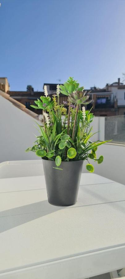 Apartamento ático Corazones *