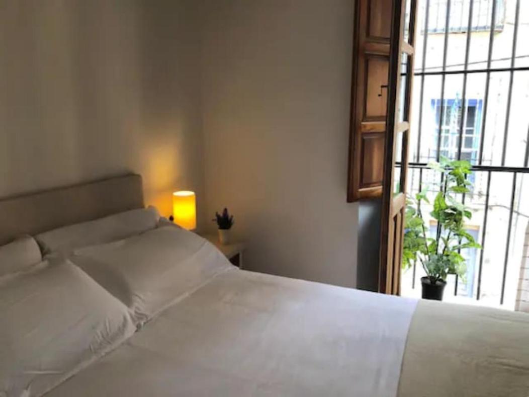 Apartamento Completo Reformado En Arco De Elvira - Centro *