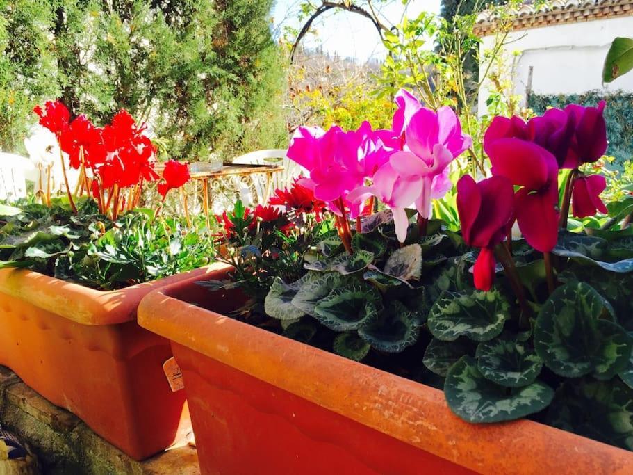 Apartamento La Rochina