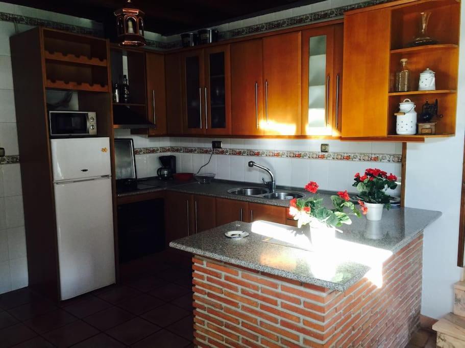 La Rochina Apartamento Granada