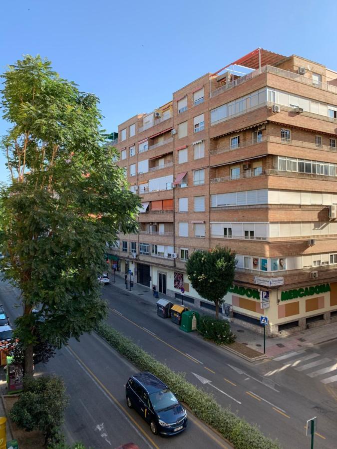 Nuevo, 3 Con Terraza Granada