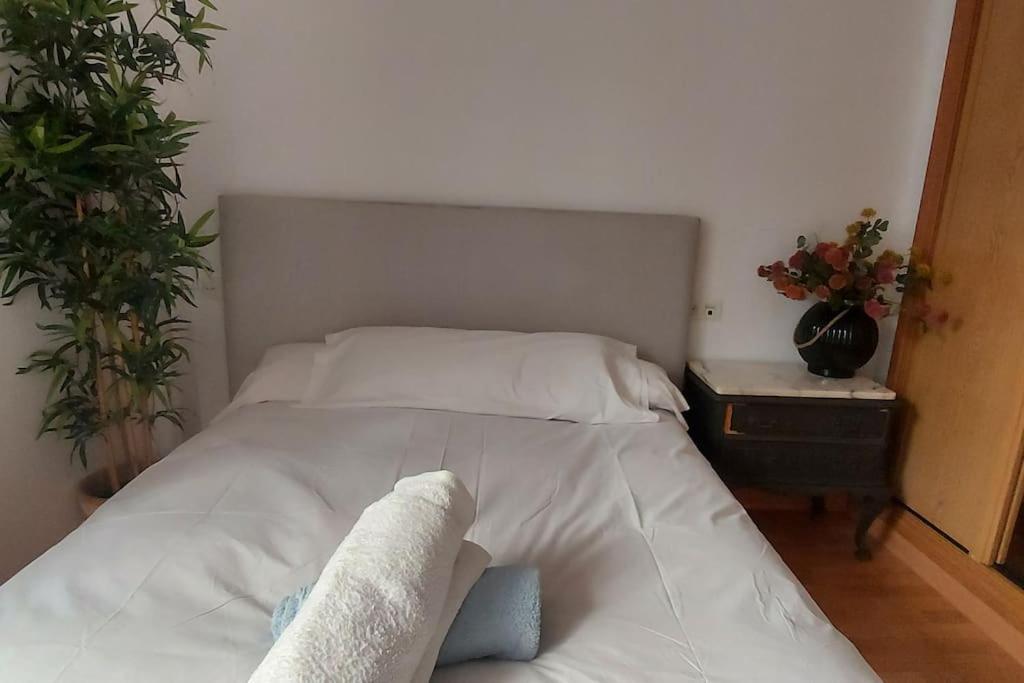 Apartamento Mejor Ubicacion Conocer Granada. Espectacular Granada