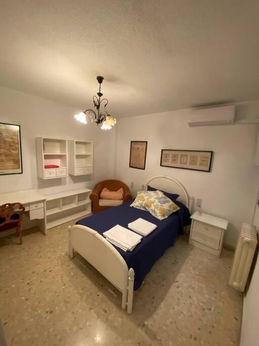 Apartamento Piso En El Centro De Granada. Parking Opcional Granada