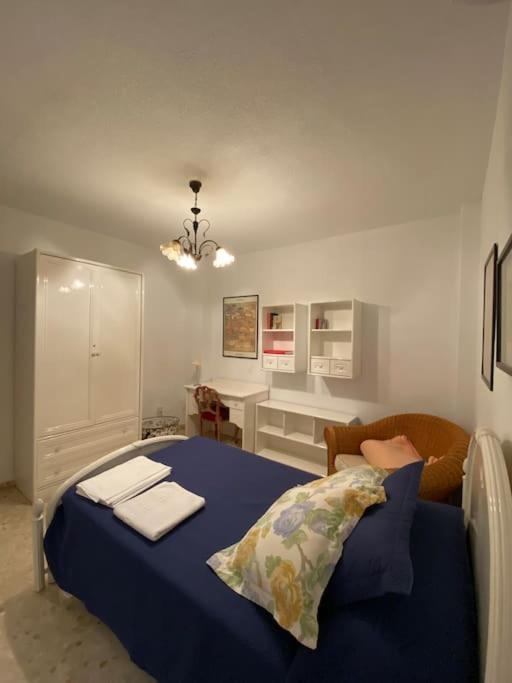 Apartamento Piso En El Centro De Granada. Parking Opcional