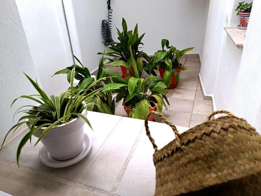 Apartamento Alberzana - Barrio Albaicin -