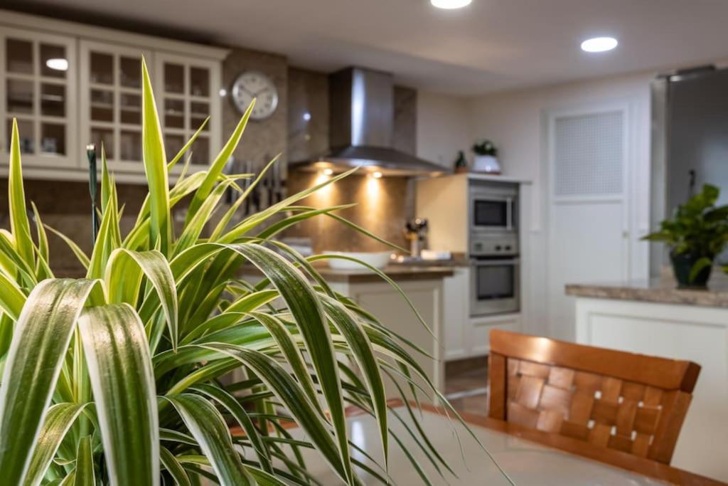 Centrico Y Espacioso. Parking Gratuito. Apartamento