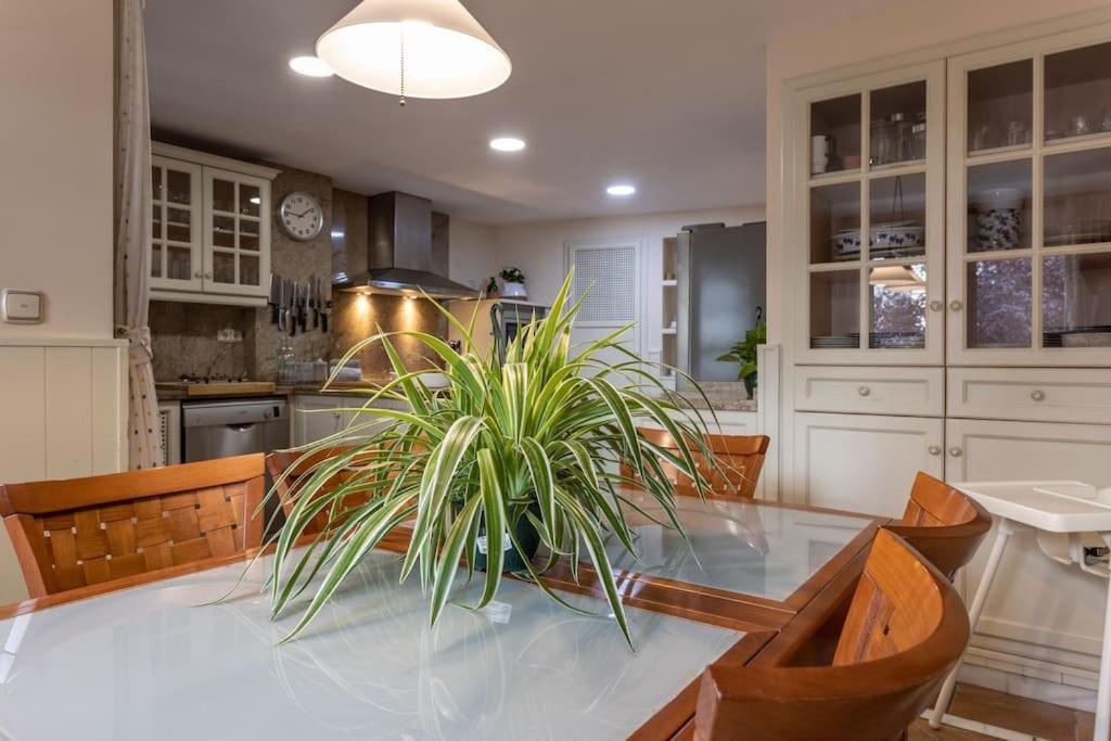 Centrico Y Espacioso. Parking Gratuito. Apartamento Granada