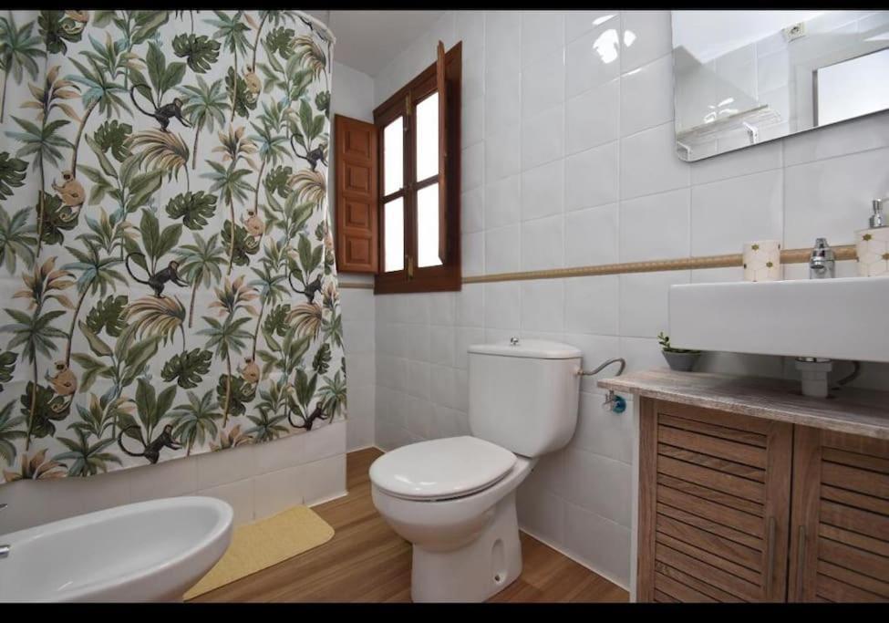 Apartamento Irene En Albaycin Apartamento Granada