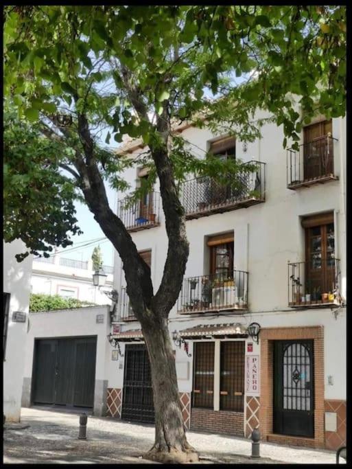 Apartamento Irene En Albaycin Apartamento *