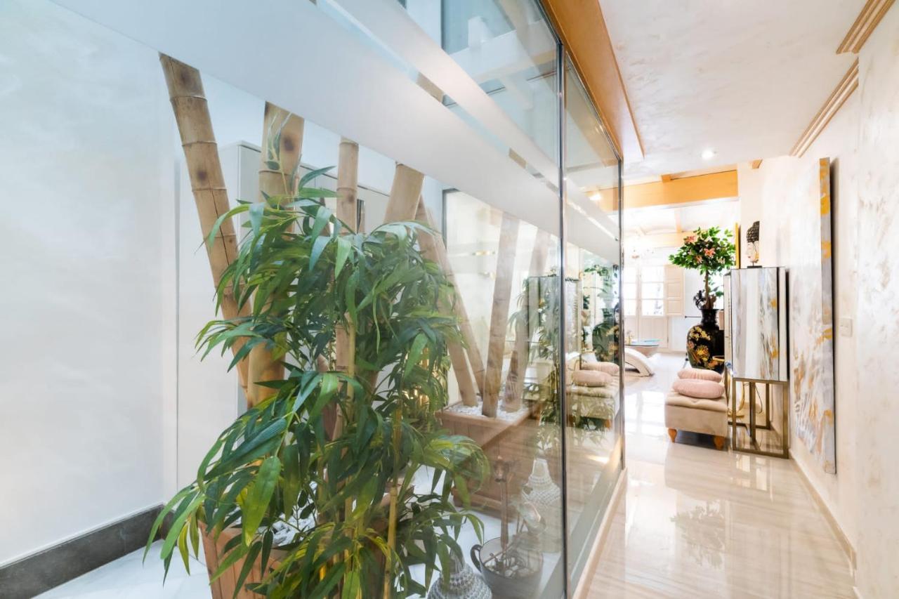 Luxury Apartamento Granada