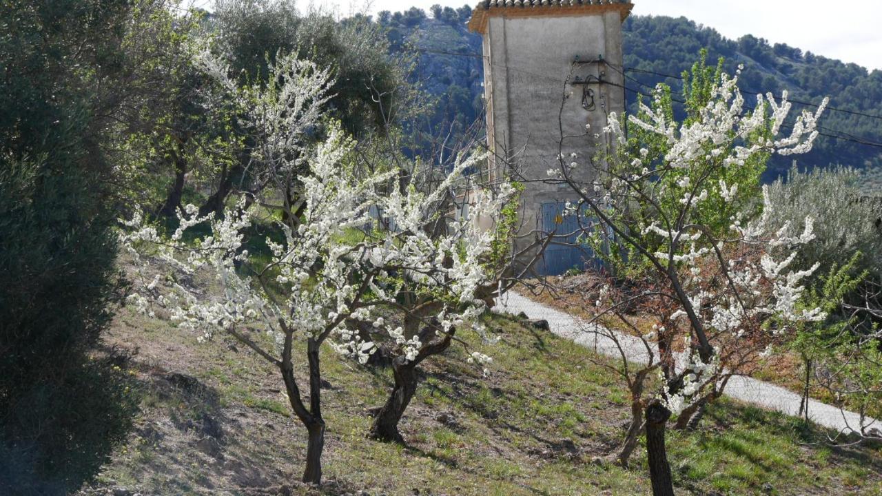 Cortijo Linanes Сasa de vacaciones