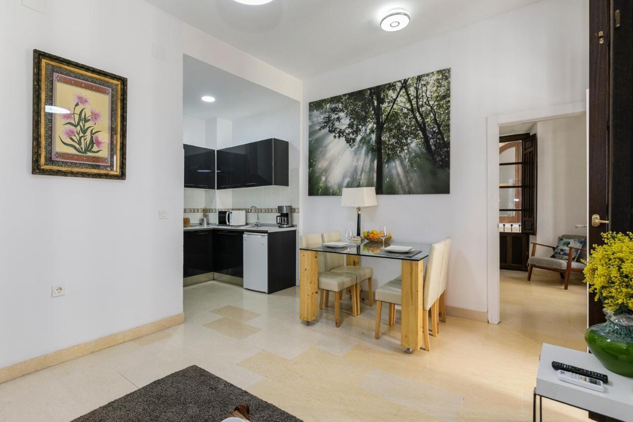 Apartamento Alcaiceria * Granada