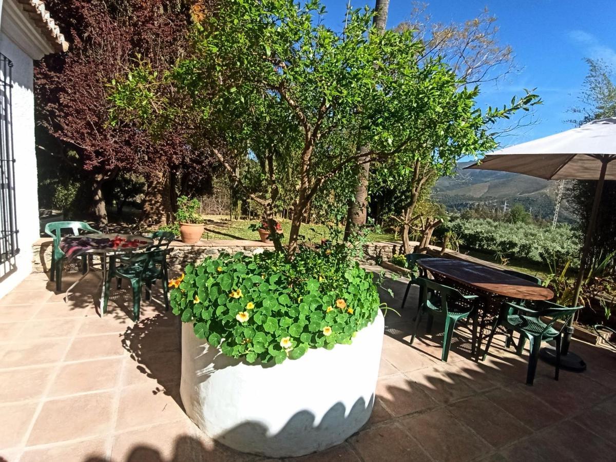 Oasis De Frescura En Verano Villa