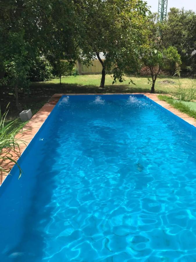 Oasis De Frescura En Verano * Granada