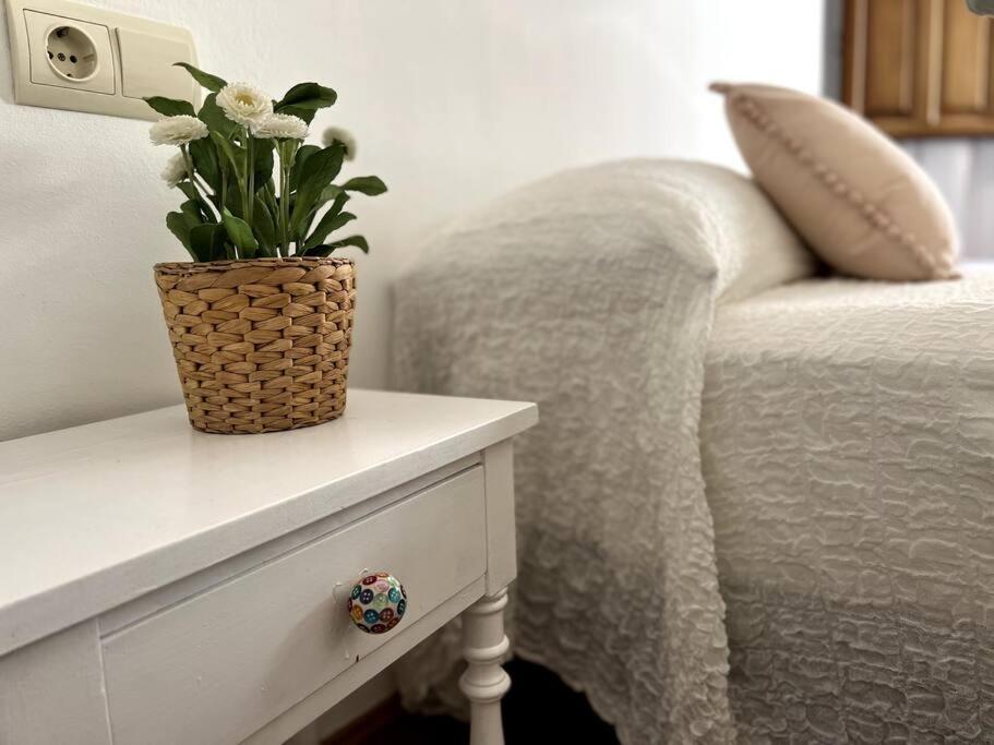 Apartamento Muy Centrico En