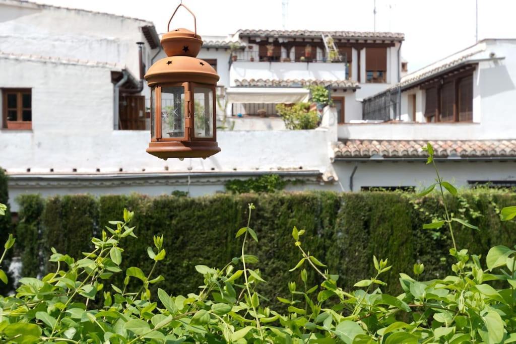 Oasis Granada