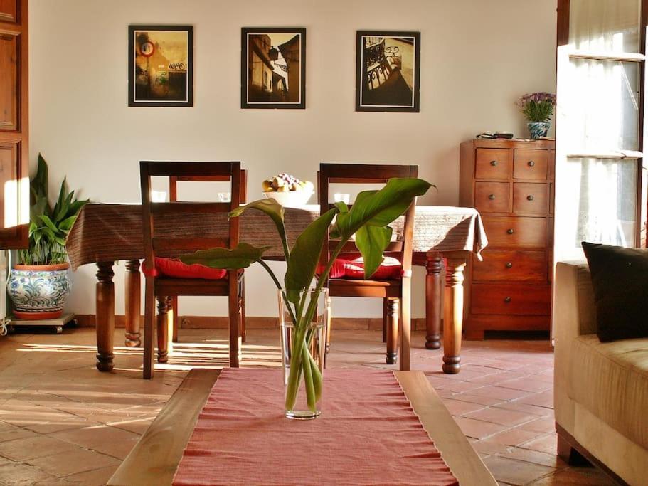 Apartamento Oasis *