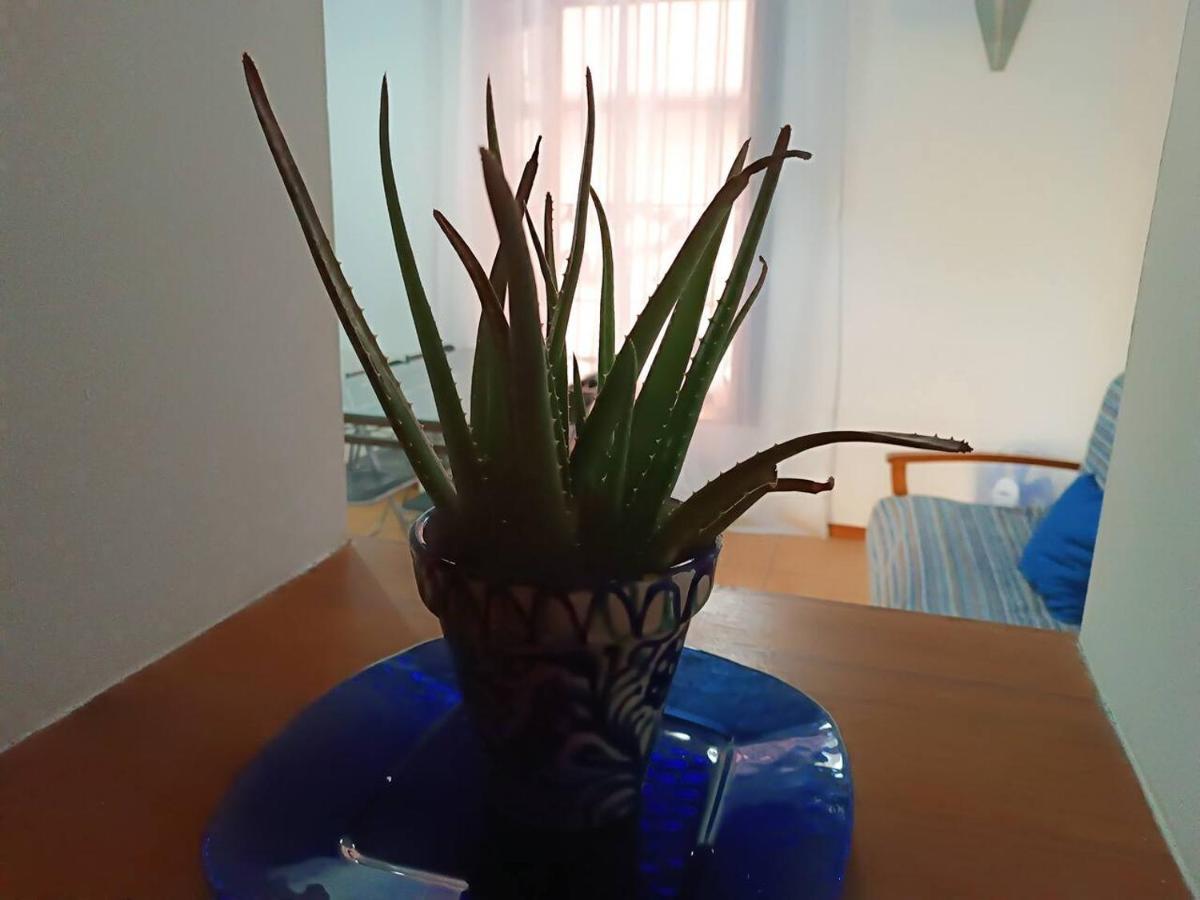 Corrala De San Anton. Arrayanes Apartamento *