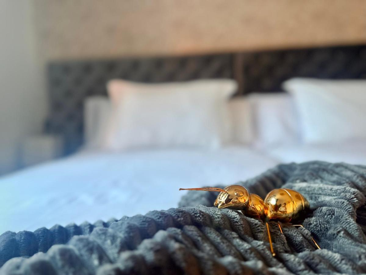 Apartamento Libelle