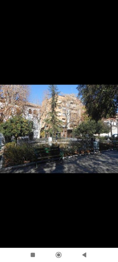 Horno Abad Centro *
