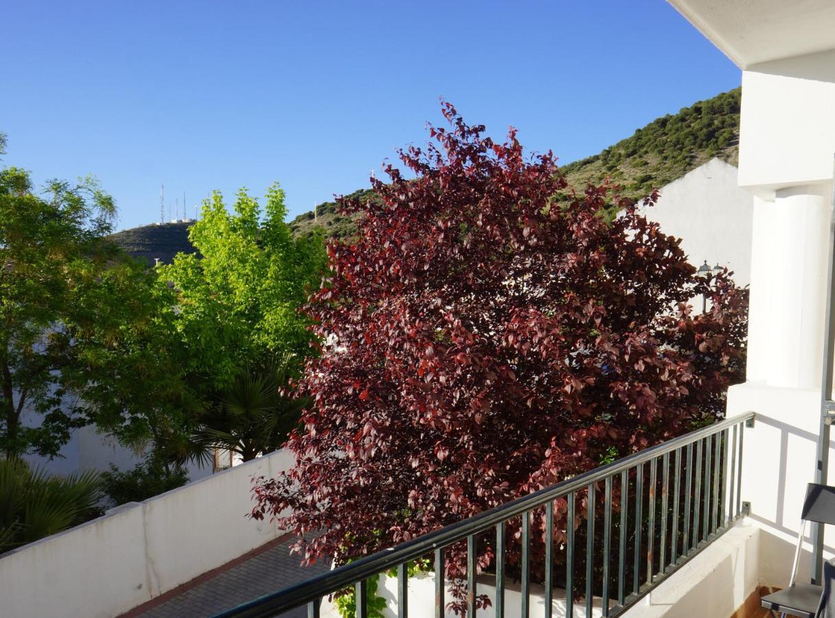 Bed and breakfast Cute And Relaxing En Albayzin *