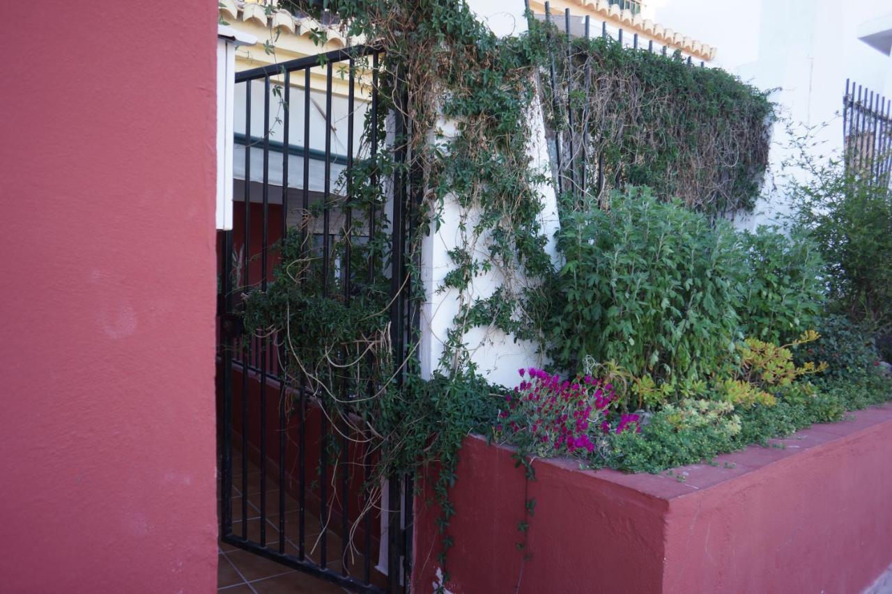 Cute And Relaxing En Albayzin Granada