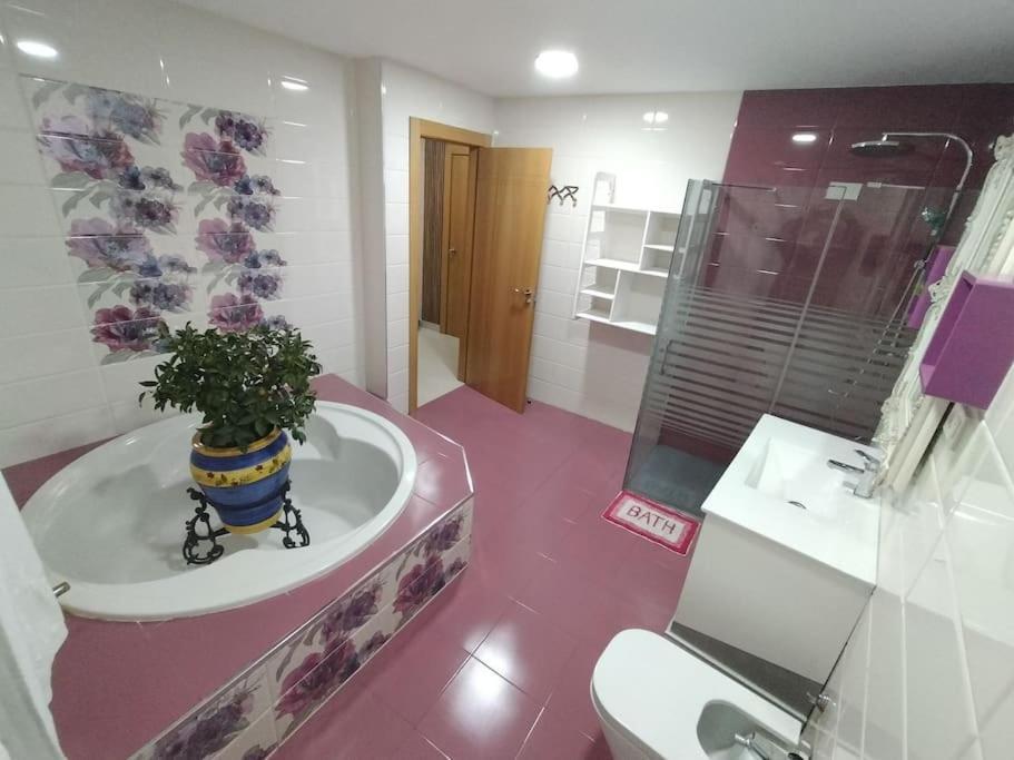 Entero Privado Apartamento