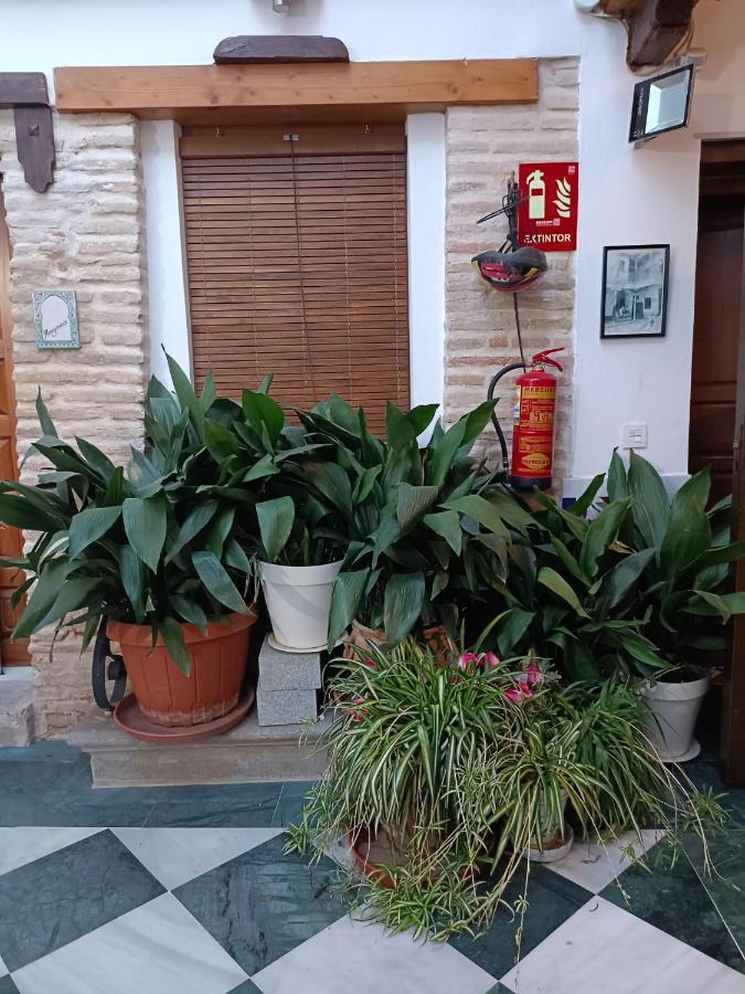 Patio De Leones