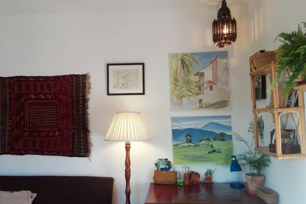 Magica Apartamento Granada