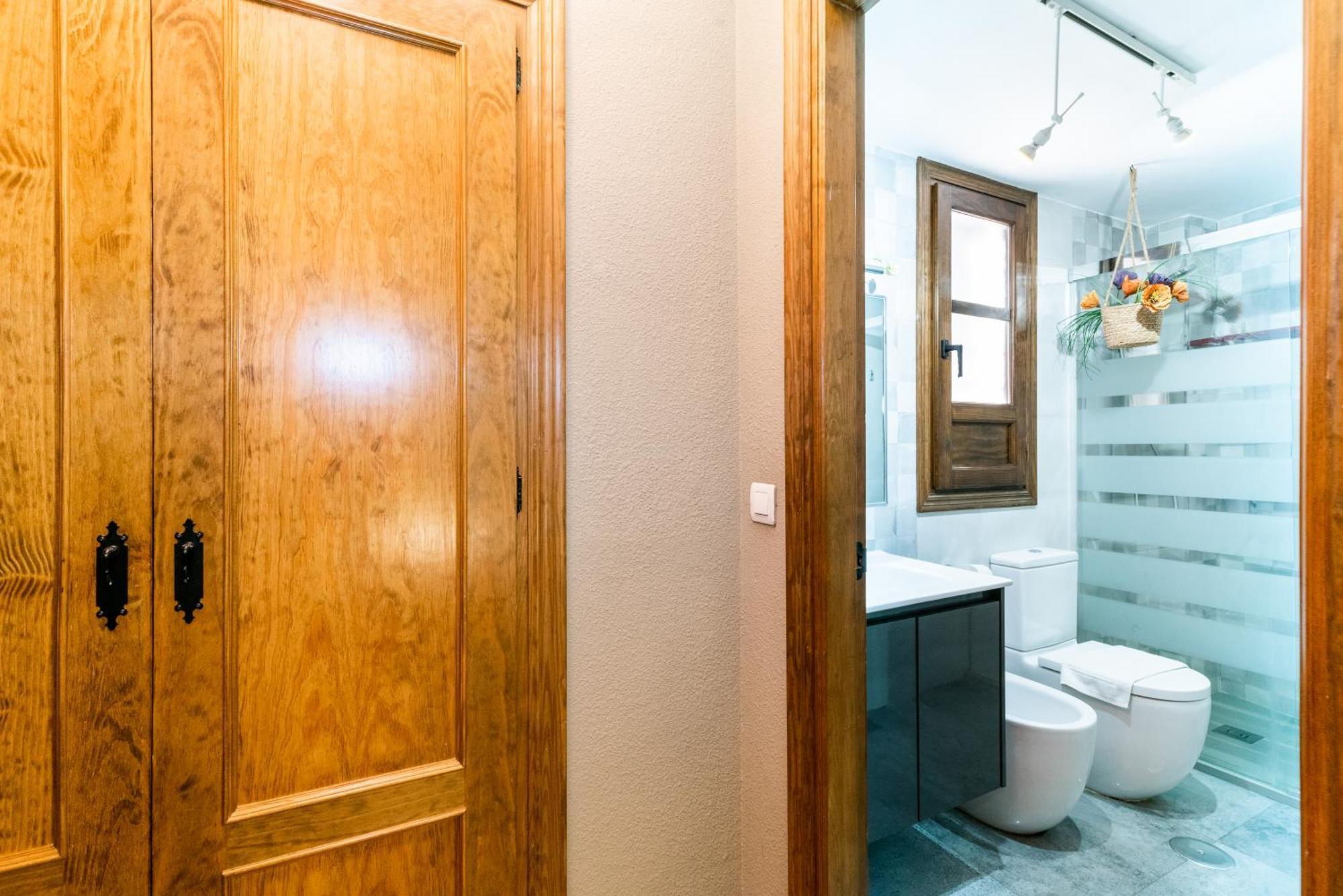 Apartamento La Albaizinia *