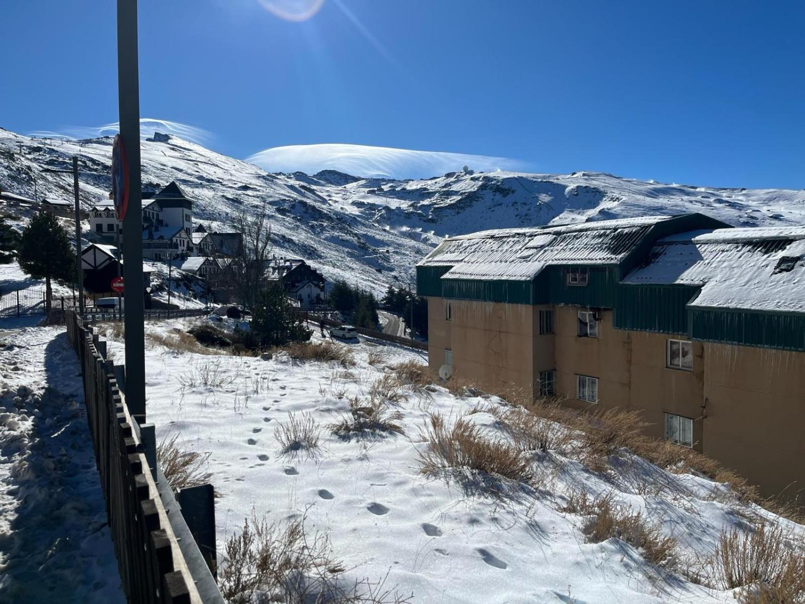 Biznaga Nevada