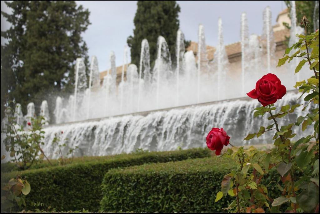 Jardines Del Triunfo