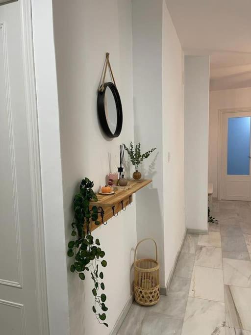 Acogedor Piso A Un Paso De Capital. Apartamento Granada