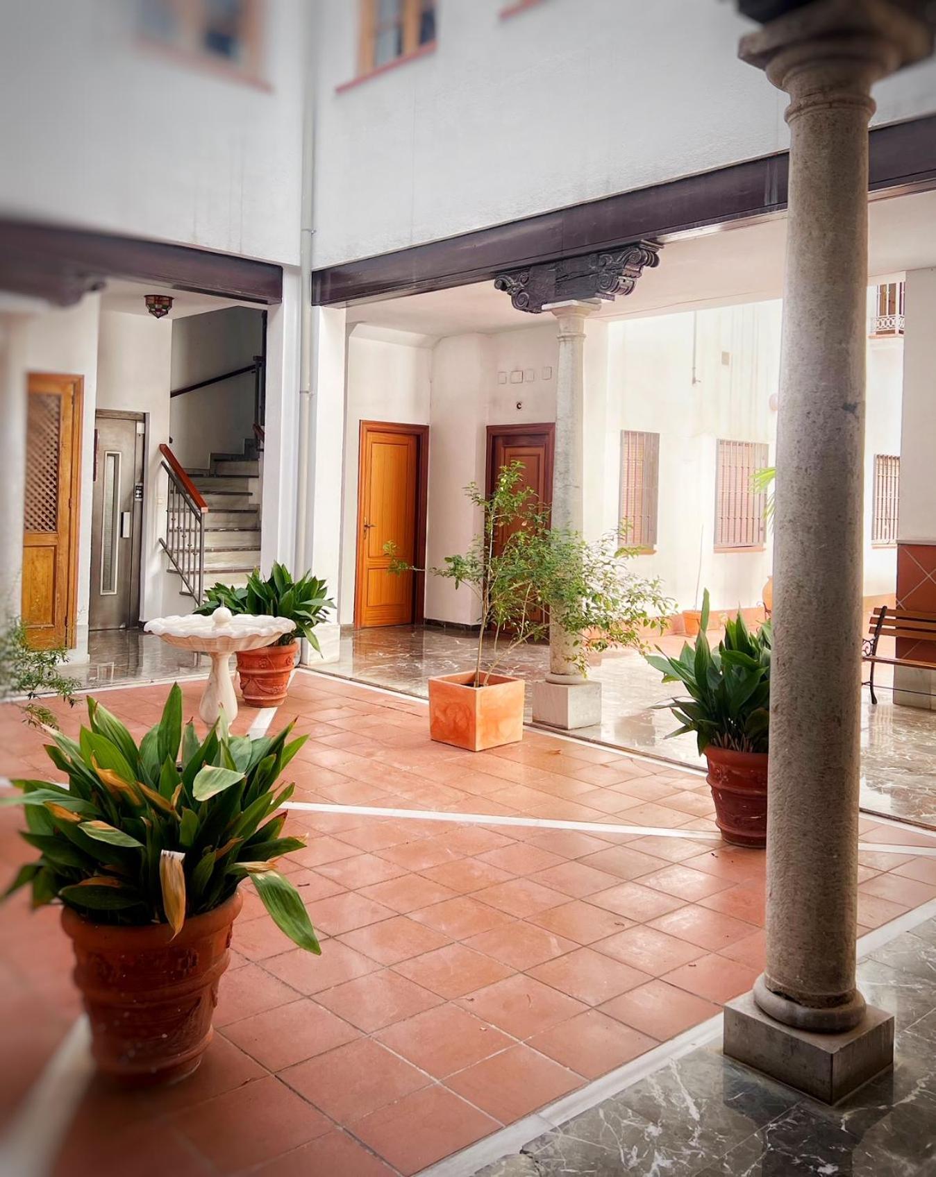 Local Penthouse