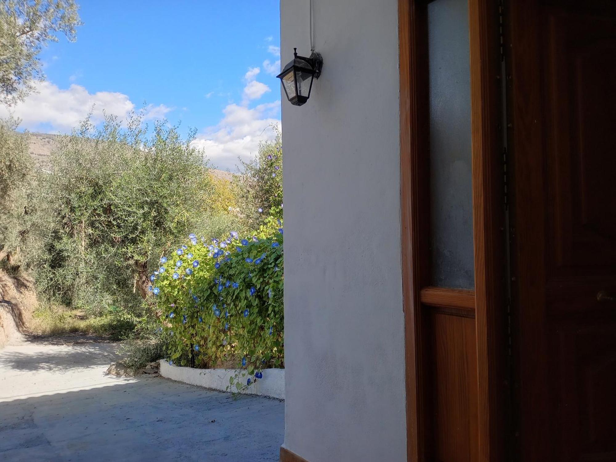 Cortijo Al Andalus * Granada