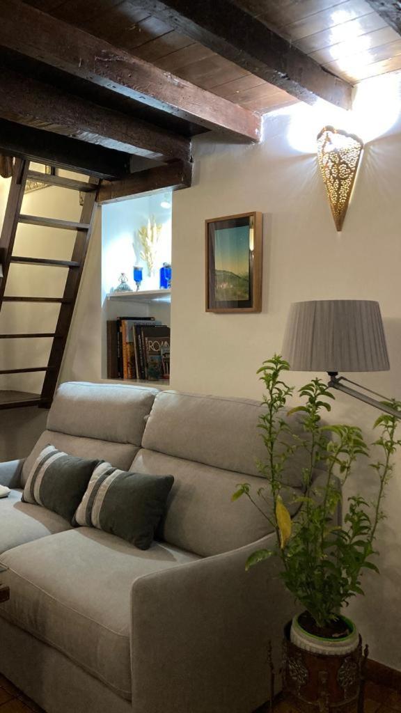 Adanar-apartamentos Muralla Ziri Apartamento *
